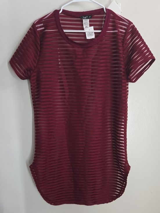 Dresses & Skirts - Burgundy Sheer Striped Short Sleeve Dress